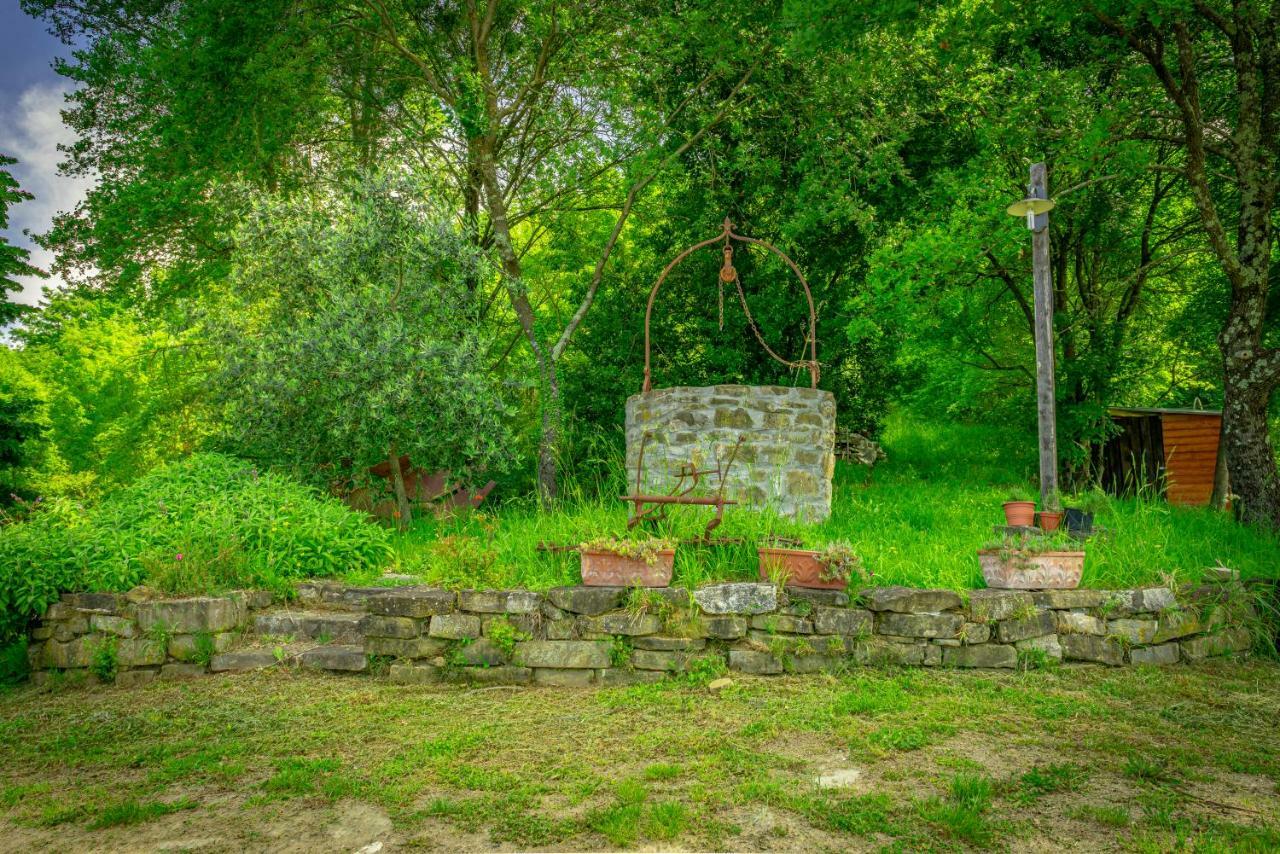 Casa Al Bosco Guest House Sant'Ellero Ngoại thất bức ảnh