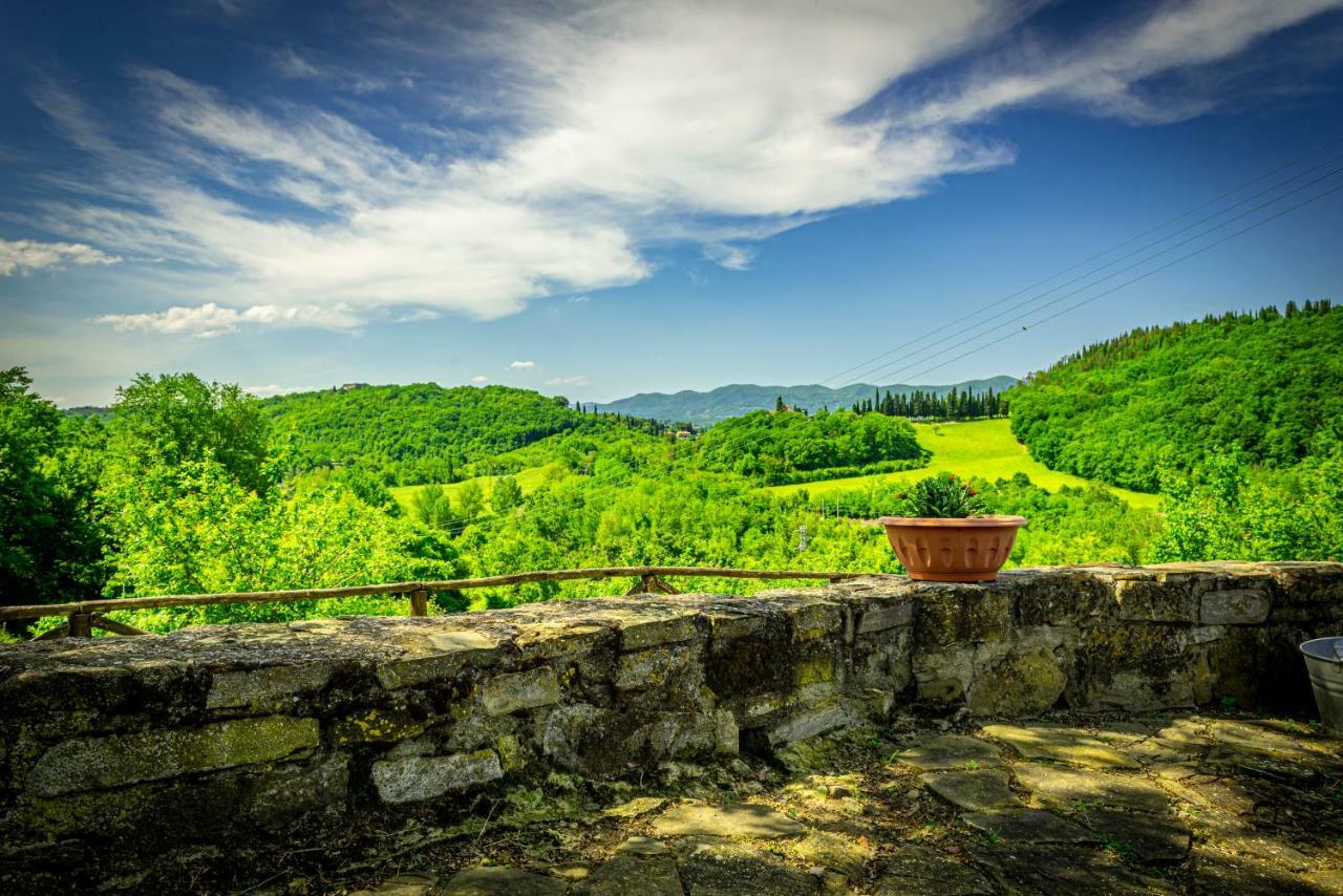 Casa Al Bosco Guest House Sant'Ellero Ngoại thất bức ảnh