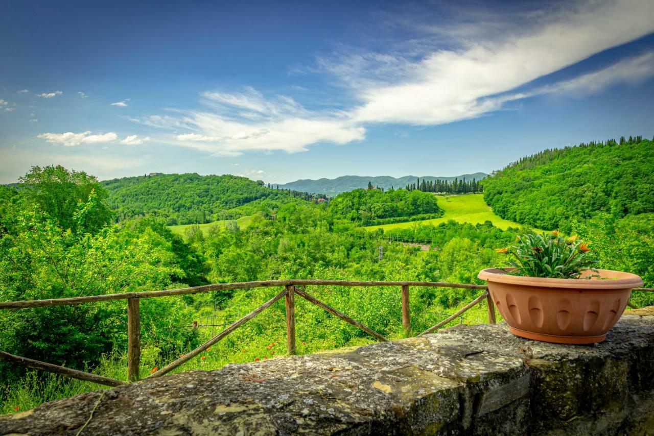 Casa Al Bosco Guest House Sant'Ellero Ngoại thất bức ảnh